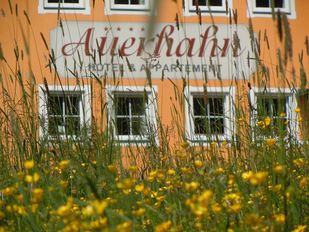 Hotel & Appartement Auerhahn Obertauern Exterior photo